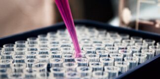 Jakie są najnowsze metody diagnostyki i leczenia chorób u osób starszych?
