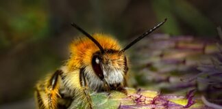 Co to są testy API?