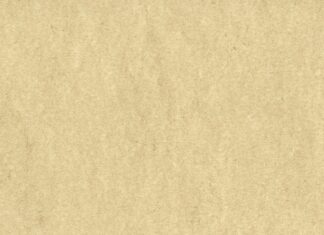 Kto udziela certyfikacji?