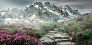 Jaka mata pod kamienie?