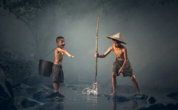 Jakie ryby czyszczą szyby w akwarium?