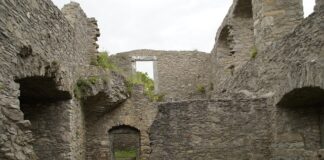 Czy impregnować warzywniak?