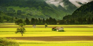 Czy drogi w Szwajcarii są płatne?