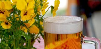 Jak założyć ogródek warzywny w skrzyniach?