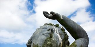 Jak pozbyć się odchodów ryb?