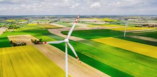 Jakie warzywa i owoce można uprawiać na balkonie?