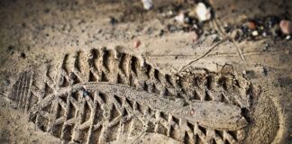 Kto przeprowadza ocenę zgodności?