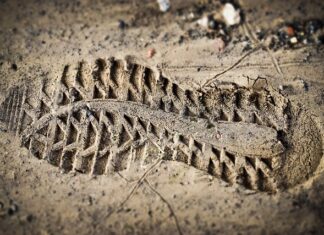 Kto przeprowadza ocenę zgodności?