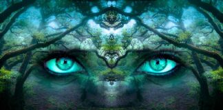 Dlaczego nie warto ujawniać swojej tożsamości w Internecie?