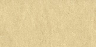 Jak uzyskać certyfikat audytora?