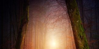 Ile prądu pobiera wifi?