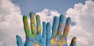 Jak przygotować ziemię do skrzyni?