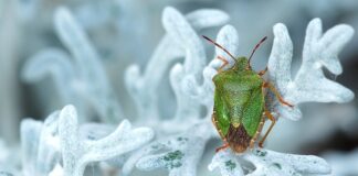 Jakie marki aut są tanie w utrzymaniu?
