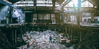 Z jakiej wysokości kot przeżyje upadek?