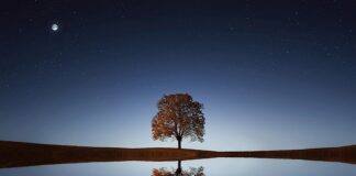 Jaki cichy kask szczękowy?