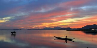 Jak zacząć łowić karpie?