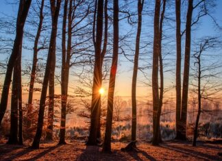 Jakie kąpielówki na basen kryty?