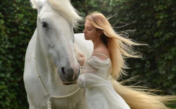 Czy koń wyczuwa strach?