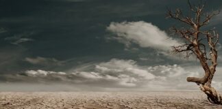 Co zrobić żeby nie było gorąco w namiocie?