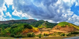 Jak dobrać nakładkę na kierownice?