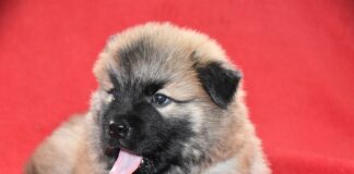 Jak wydłużyć łańcuch?