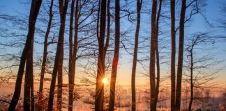 Jak się nazywają męskie kąpielówki?