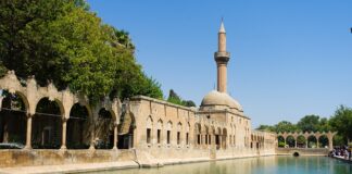 Jaka wędka karpiowa do 300 zł?