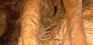 Co oznacza Hg w Shimano?