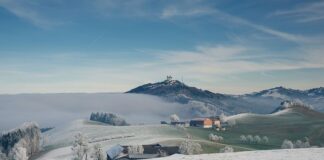 Ile za przejazd rowerem przez pasy?