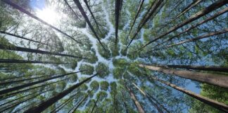 Po co daszek w kasku MTB?