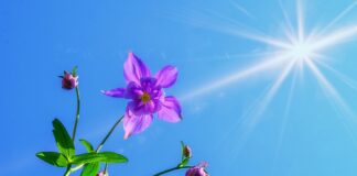 Gdzie można chodzić z bronią?