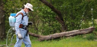 Na czym polega problem plecakowy?