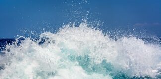 Czy można rozbić namiot w lesie?