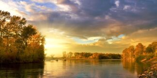 Jakie kolory kasków na budowie?