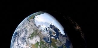 Jak jest bila po angielsku?