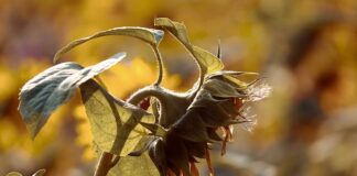 Ile wytrzymuje łańcuch w rowerze?