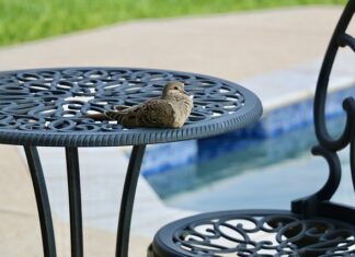 Jak myc się na basenie?