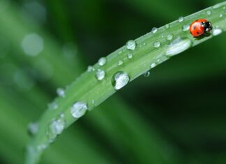 Jak zostawić po sobie pościel w hotelu?