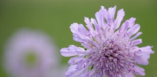 Co to jest integralny kask?