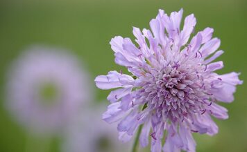 Co to jest integralny kask?