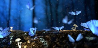 Jak Opalić drewno bez palnika?