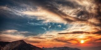 Ile godzin może być pies na łańcuchu?