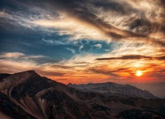 Ile godzin może być pies na łańcuchu?