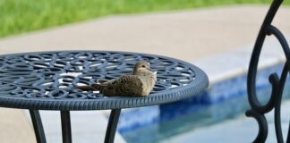 Czy można pływać w basenie w butach?