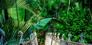 Co daje kurs skoczka spadochronowego?